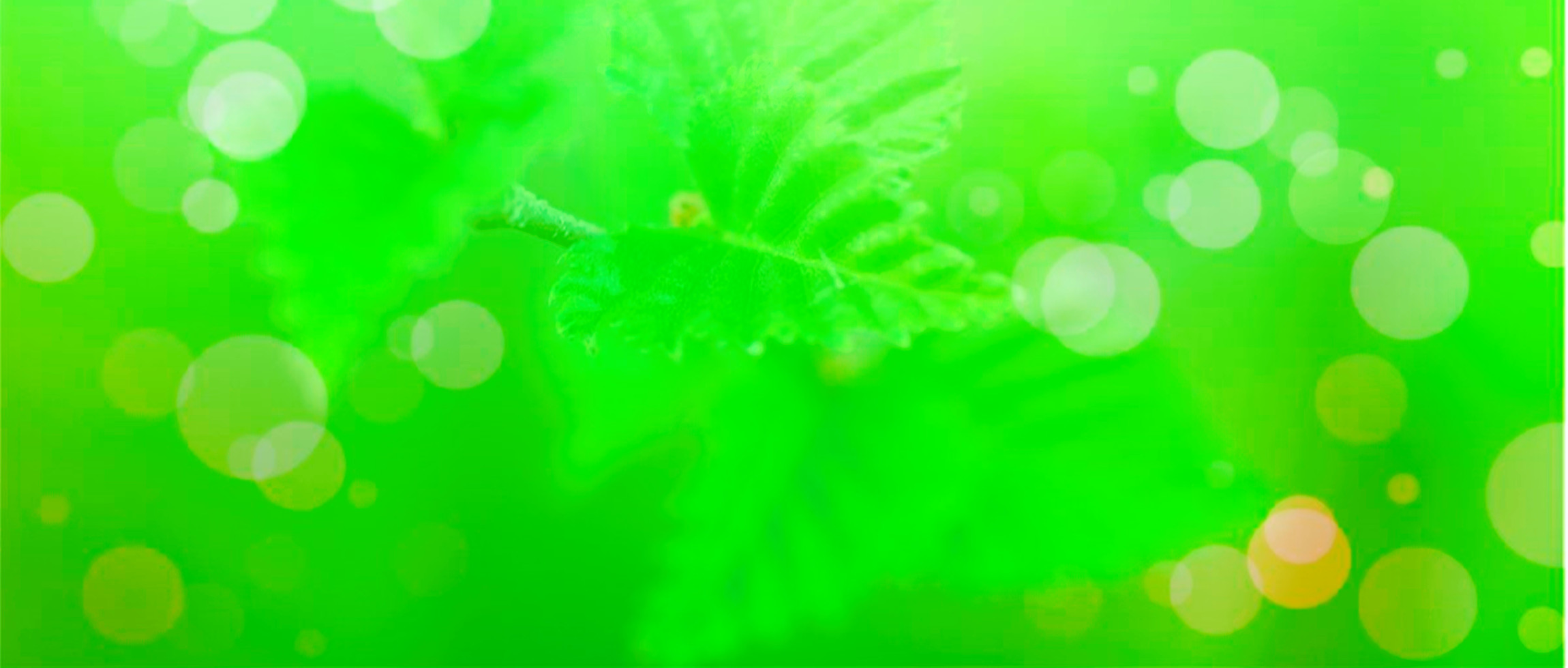 打鱼晒网学习库 - 实用知识干货分享，轻量碎片化学习首选








