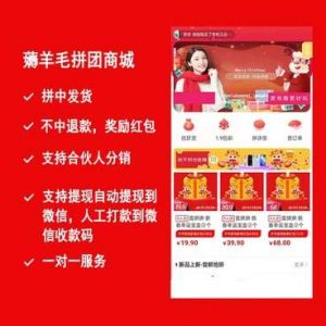 薅羊毛拼团商城小程序源码v2.8.6+前端-打鱼晒网学习库 - 实用知识干货分享，轻量碎片化学习首选