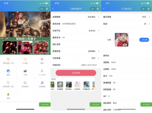 王者荣耀装逼神器助手小程序源码_支持多种流量主模式-打鱼晒网学习库 - 实用知识干货分享，轻量碎片化学习首选