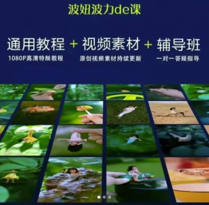 视频制作视频通用教程+视频素材+辅导班-打鱼晒网学习库 - 实用知识干货分享，轻量碎片化学习首选