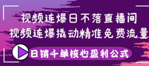 视频连爆撬动精准免费流量，让你卖货日销千单-打鱼晒网学习库 - 实用知识干货分享，轻量碎片化学习首选