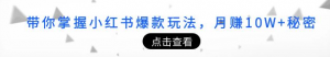 小红书涨粉变现课程：教你掌握小红书爆款玩法，月赚5W+-打鱼晒网学习库 - 实用知识干货分享，轻量碎片化学习首选