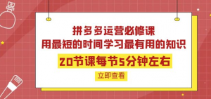 拼多多开店运营课程：用最短的时间学好拼多多运营-打鱼晒网学习库 - 实用知识干货分享，轻量碎片化学习首选
