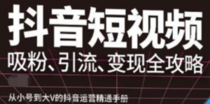 抖音视频号高级实操课程：从小号到大V的抖音运营精通手册（吸粉、引流、变现全攻略）-打鱼晒网学习库 - 实用知识干货分享，轻量碎片化学习首选