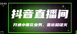 抖音直播间开通小雪花业务（外面收费288）最近超火-打鱼晒网学习库 - 实用知识干货分享，轻量碎片化学习首选