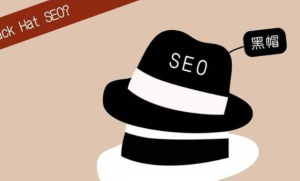 【黑帽seo揭秘】不建站不发帖做外推排名方法实操,持久seo霸屏,灰白通用!-打鱼晒网学习库 - 实用知识干货分享,轻量碎片化学习首选