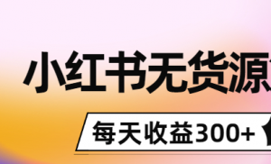 小红书无货源怎么赚钱：0投入起店，无脑图文精细化玩法，每天收益300+-打鱼晒网学习库 - 实用知识干货分享，轻量碎片化学习首选
