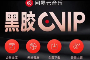 网易云音乐撸黑胶年卡及变现方法【收益可无限放大】-打鱼晒网学习库 - 实用知识干货分享，轻量碎片化学习首选