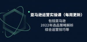 亚马逊运营实操课：亚马逊最新选品策略解析，综合运营技巧等-打鱼晒网学习库 - 实用知识干货分享，轻量碎片化学习首选