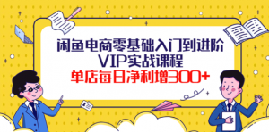 闲鱼电商零基础入门VIP实战课程，单店每日净利增300+（37节课）-打鱼晒网学习库 - 实用知识干货分享，轻量碎片化学习首选