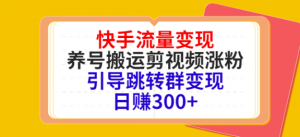 快手流量变现绝密教程，引导跳转群变现日赚300+-打鱼晒网学习库 - 实用知识干货分享，轻量碎片化学习首选