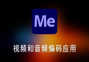 Adobe Media Encoder视频和音频编码应用-打鱼晒网学习库 - 实用知识干货分享，轻量碎片化学习首选