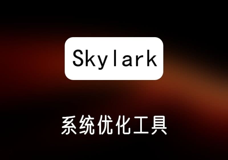 Skylark_v4.0.5中文绿色版-系统优化工具-打鱼晒网学习库 - 实用知识干货分享，轻量碎片化学习首选