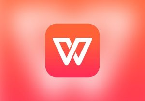 WPS 2023教育版-打鱼晒网学习库 - 实用知识干货分享，轻量碎片化学习首选