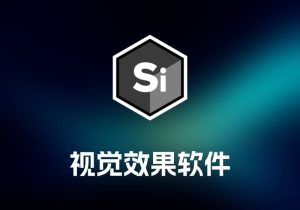 Boris FX Silhouette2024 视觉效果软件-打鱼晒网学习库 - 实用知识干货分享，轻量碎片化学习首选