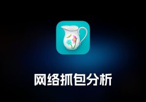 Charles 网络抓包分析工具-打鱼晒网学习库 - 实用知识干货分享，轻量碎片化学习首选