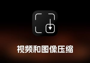 CompressX 视频和图像压缩工具-打鱼晒网学习库 - 实用知识干货分享，轻量碎片化学习首选