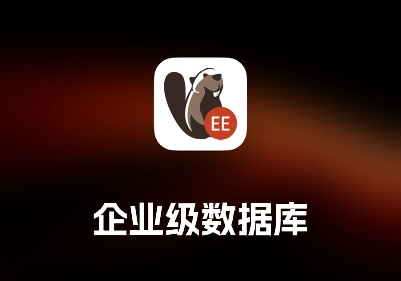 DBeaverEE 企业级数据库工具-打鱼晒网学习库 - 实用知识干货分享，轻量碎片化学习首选