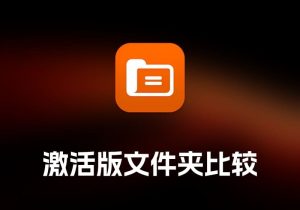 DirEqual 激活版 文件夹比较工具-打鱼晒网学习库 - 实用知识干货分享，轻量碎片化学习首选