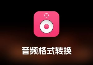 DRmare Audio Converter 音频格式转换工具-打鱼晒网学习库 - 实用知识干货分享，轻量碎片化学习首选