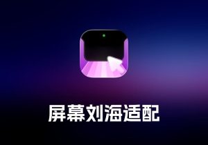 Dynamic Notch 屏幕刘海适配工具-打鱼晒网学习库 - 实用知识干货分享，轻量碎片化学习首选