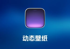 DynamicLakePro 动态壁纸工具-打鱼晒网学习库 - 实用知识干货分享，轻量碎片化学习首选