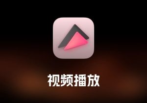 Elmedia Video Player 视频播放工具-打鱼晒网学习库 - 实用知识干货分享，轻量碎片化学习首选