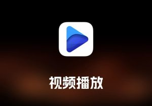 Fig Player 视频播放工具-打鱼晒网学习库 - 实用知识干货分享，轻量碎片化学习首选
