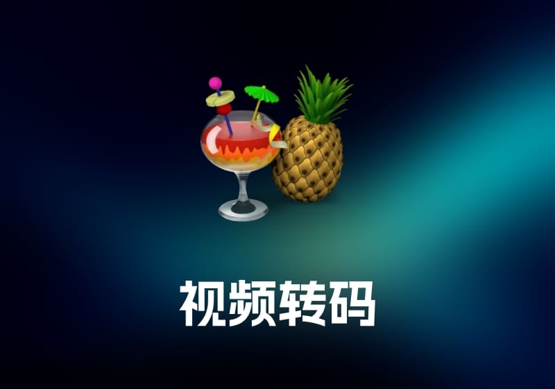HandBrake 视频转码工具-打鱼晒网学习库 - 实用知识干货分享，轻量碎片化学习首选