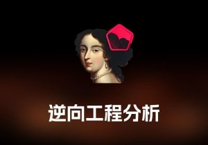 IDA Pro 逆向工程分析工具-打鱼晒网学习库 - 实用知识干货分享，轻量碎片化学习首选