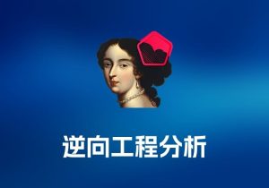 IDA Professional 逆向工程分析工具-打鱼晒网学习库 - 实用知识干货分享，轻量碎片化学习首选