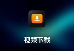 iDownerGo 视频下载工具-打鱼晒网学习库 - 实用知识干货分享，轻量碎片化学习首选