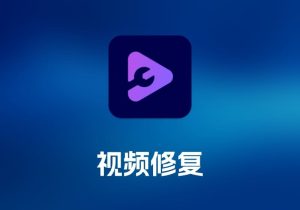 Aiseesoft Video Repair 视频修复工具-打鱼晒网学习库 - 实用知识干货分享，轻量碎片化学习首选