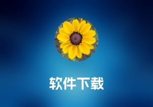 MesaExif 图像元数据编辑工具-打鱼晒网学习库 - 实用知识干货分享，轻量碎片化学习首选