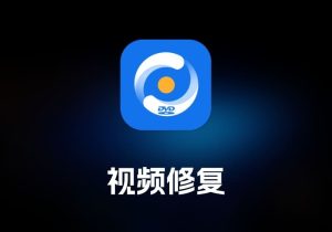 AnyMP4 DVD Ripper 视频修复工具-打鱼晒网学习库 - 实用知识干货分享，轻量碎片化学习首选