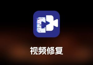 AnyMP4 Video Repair 视频修复工具-打鱼晒网学习库 - 实用知识干货分享，轻量碎片化学习首选