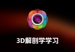 PixelStyle Photo Editor 图片编辑工具-打鱼晒网学习库 - 实用知识干货分享，轻量碎片化学习首选