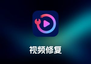 AnyRec Video Repair 视频修复工具-打鱼晒网学习库 - 实用知识干货分享，轻量碎片化学习首选