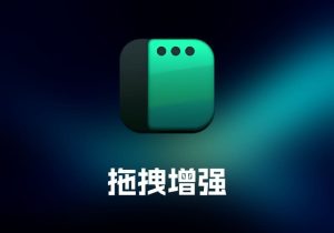 Rectangle Pro 窗口管理工具-打鱼晒网学习库 - 实用知识干货分享，轻量碎片化学习首选