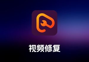 Apeaksoft Video Fixer 视频修复工具-打鱼晒网学习库 - 实用知识干货分享，轻量碎片化学习首选