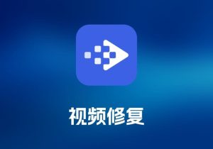 Tipard FixMP4MP4 视频修复工具-打鱼晒网学习库 - 实用知识干货分享，轻量碎片化学习首选