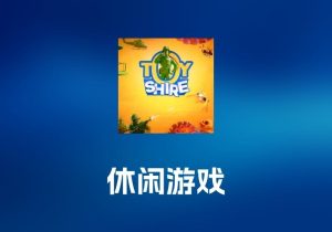 Toy Shire 休闲游戏工具-打鱼晒网学习库 - 实用知识干货分享，轻量碎片化学习首选