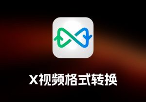 Video Converter X 视频格式转换工具-打鱼晒网学习库 - 实用知识干货分享，轻量碎片化学习首选