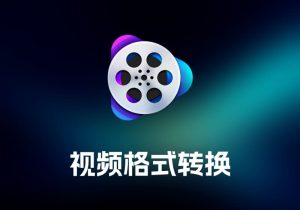 VideoProc Converter 视频格式转换工具-打鱼晒网学习库 - 实用知识干货分享，轻量碎片化学习首选