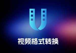 VideoSolo Video Converter Ultimate 视频格式转换工具-打鱼晒网学习库 - 实用知识干货分享，轻量碎片化学习首选