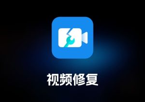 Vidmore Video Fix 视频修复工具-打鱼晒网学习库 - 实用知识干货分享，轻量碎片化学习首选