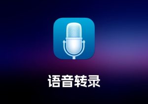 Whisper Transcription 语音转录工具-打鱼晒网学习库 - 实用知识干货分享，轻量碎片化学习首选