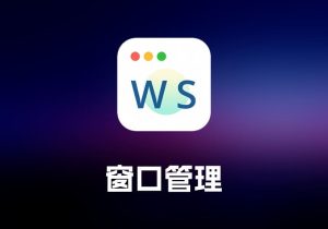 Wins 窗口管理工具-打鱼晒网学习库 - 实用知识干货分享，轻量碎片化学习首选